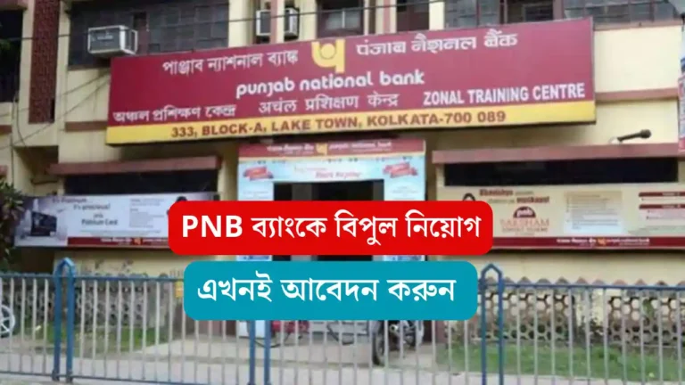 পাঞ্জাব ন্যাশনাল ব্যাংকে বিপুল কর্মখালি, বেকাররা আবেদন করুন - PNB Bank Job Vacancies pnb bank job vacancies